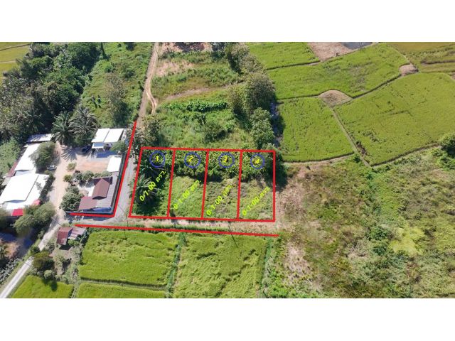 แบ่งขายที่ดิน งานละ 320,000 บาท อ.เชียงคาน จ.เลย