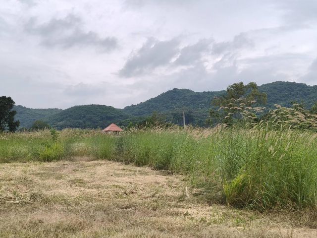 ขายที่เขาใหญ่ หนองสาหร่าย ปากช่อง 8ไร่ วิวเขาล้อมรอบ ใกล้ภูเขา ที่อยู่บนเนินสุดเทควิวสวยมาก ใกล้ 2235 เพียง 650ม. ใกล้ถน