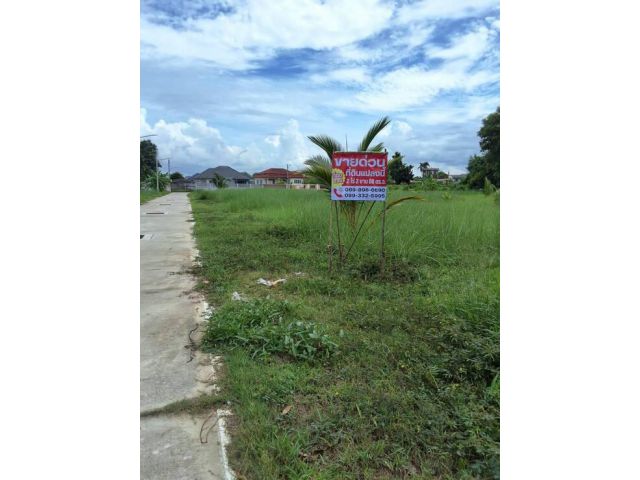 ขายที่ดินสวย 2 ไร่ 2 งาน 88 ตร.วา ซอยหนองใหญ่ 3 พัทยา ทำเลดี ใกล้ Terminal 21 พัทยา เหมาะลงทุนสร้างบ้านหรือรีสอร์ต