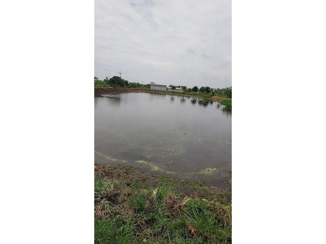 ขายที่ดิน องครักษ์ นครนายก 29 ไร่ หน้าแปลง ติดทางสาธารณะ กว้าง 150 เมตร