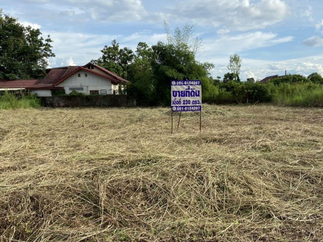 ขายที่ดินโฉนด 230 ตรว.  ถมแล้ว  อยู่ ถนนบ่อหิน-บายพาส ใกล้เซ็นทรัล