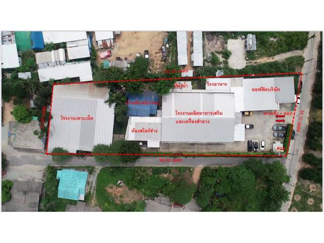 ขายโรงงานผลิตอาหาร 1 ไร่ 3 งาน ศรีราชา ชลบุรี