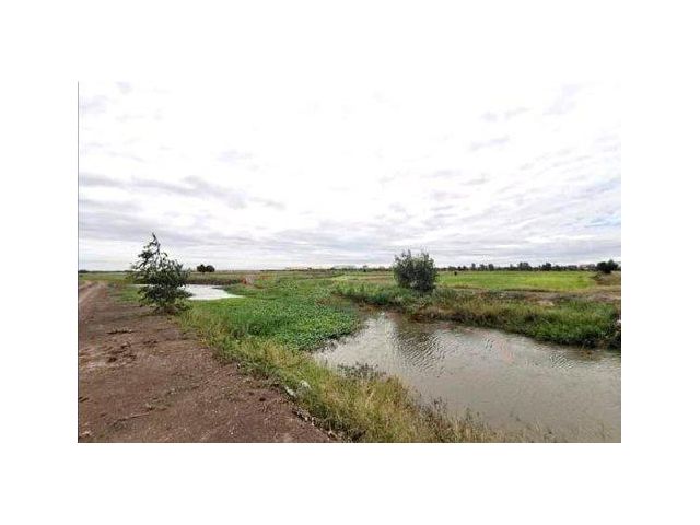 ขายที่ดิน 91 ไร่ ใกล้ถนนสายเอเซีย ต.คลองจิก อ.บางปะอิน จ.พระนครศรีอยุธยา