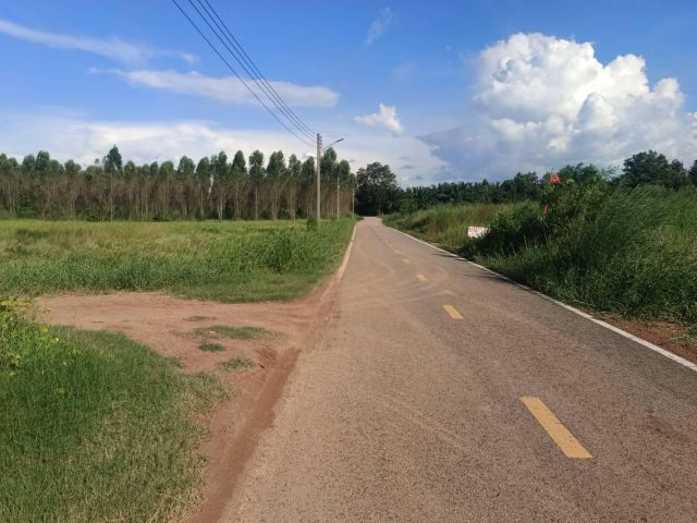 ขายที่ดินนนทรี 2 ไร่ ติดถนนลาดยางใกล้ถนนสุวรรณศร33-4กม. อ.กบินทร์บุรี ปราจีนบุรี