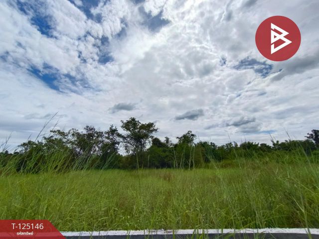 ขายที่ดินพร้อมบ่อน้ำ เนื้อที่ 2 ไร่ 16.5 ตารางวา โพธิ์ชัย หนองคาย