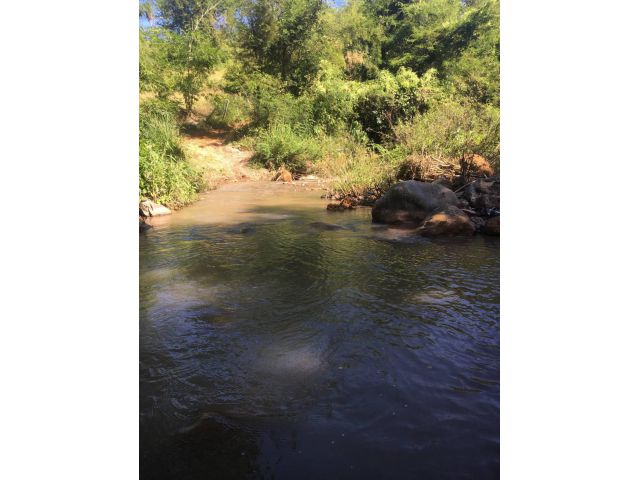 ด่วนที่สุด ขายที่ดินติดทางขึ้นภูทับเบิก ติดลำห้วยเฮี้ย จำนวน 427 ไร่