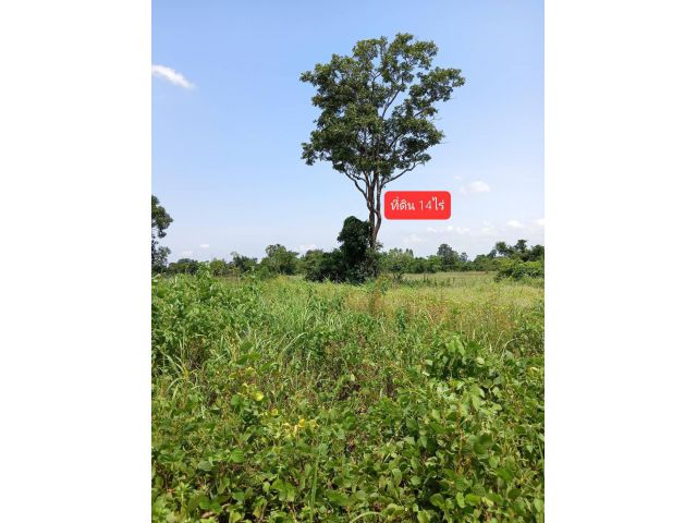 ขายที่ดิน14 ไร่ ไร่ละ 250,000 บาท อยู่ใกล้ศูนย์การค้าสหพัฒนพิบูลย์ กบินทร์บุรี