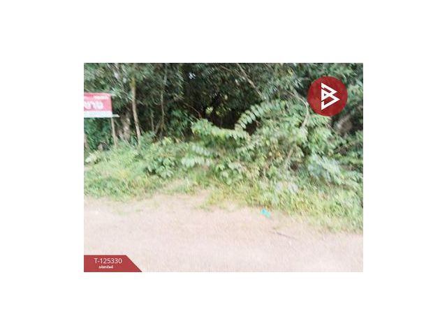 ขายที่ดิน เนื้อที่ 2 งาน 60 ตร.วา กบินทร์บุรี ปราจีนบุรี