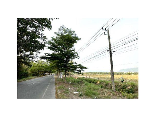 ขายที่ดิน 31 ไร่ ถนนหนองหญ้า-ก้นหนอง ต.ตะพง อ.เมืองระยอง จ.ระยอง