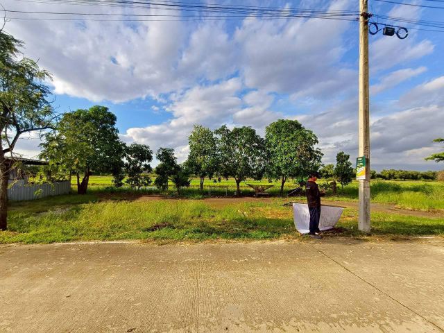 ขายด่วนที่ดิน 100 ตาว ติดถนนคอนกรีตสาธารณะ ถมแล้ว ซ.คลองสี่ตะวันตก 34/1  อ.คลองหลวง จ.ปทุมธานี