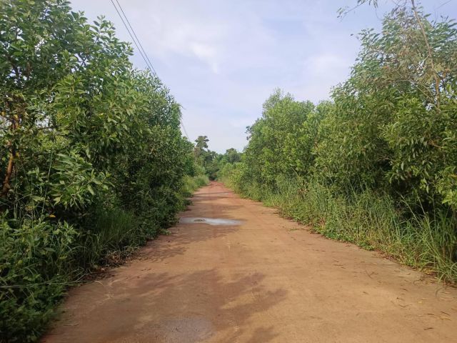 ขายที่ดินนนทรี 18 ไร่ ใกล้ถนนเส้นสุวรรณศร33-2กม. อ.กบินทร์บุรี ปราจีนบุรี