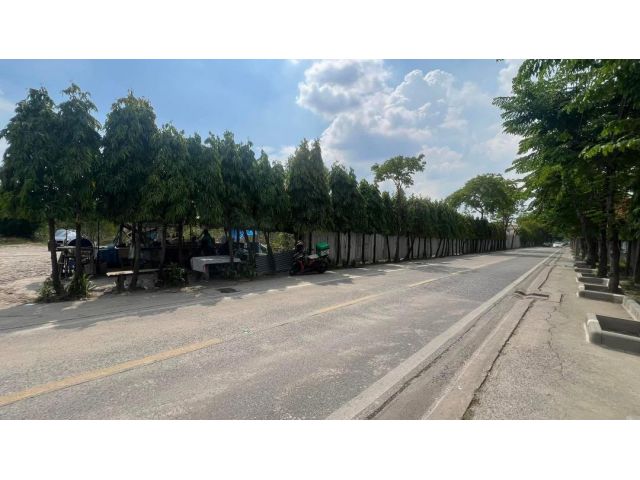 ขายที่ดินแปลงใหญ่ 20-2-51 ไร่ ใจกลางเมืองอ่อนนุช44  เข้าซอยอ่อนนุช 44 ประมาณ 2.5 กม.-ทำเลดี  -ผังเมืองสีส้ม ย๖-๓๔