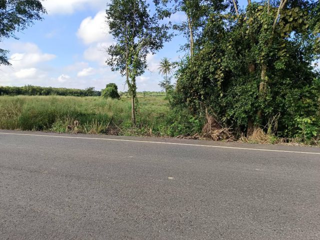 ขายที่ดินย่านรี 5 ไร่ ติดถนนเส้นบ้านตรอกปลาไหล ใกล้ตลาดขุนวิชัย-8กม. อ.กบินทร์บุรี ปราจีนบุรี