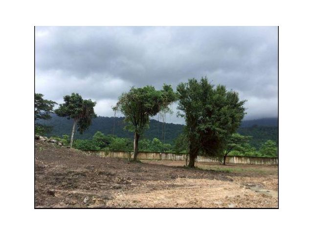 ที่ดินวิวเขา สวยที่สุดในย่านนี้! ติดถนนสาธารณะ ใกล้น้ำตกคลองมะเดื่อ นครนายก