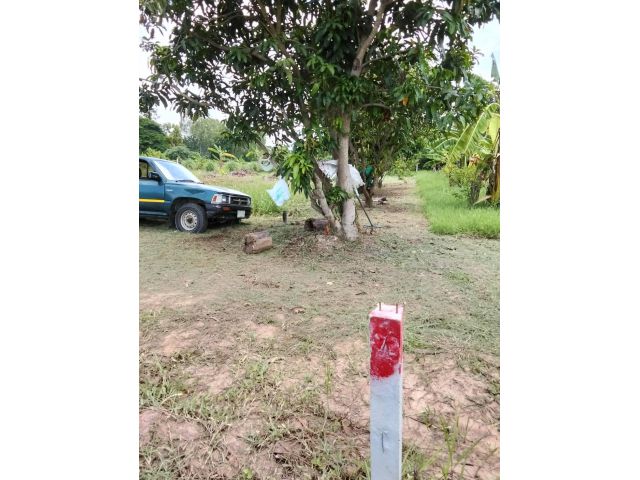 ขายที่ดินบ้านหนองไฮ ตำบลพระลับ เนื้อที่ 2 งาน