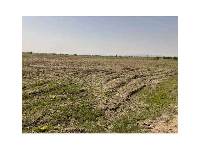 ที่ดินสวย 46 ไร่! โอกาสทองสำหรับนักลงทุน ทำเลศักยภาพ พนมทวน กาญจนบุรี