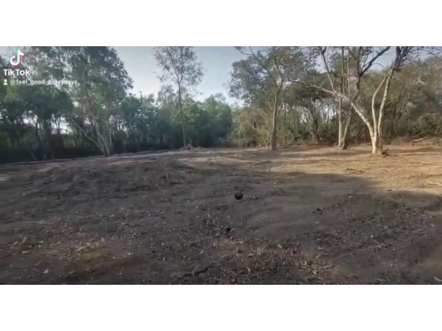 ขายที่ดินเปล่า 2 ไร่ 53 ตรว. ต.บางไทร อ.บางไทร จ.พระนครศรีอยุธยา