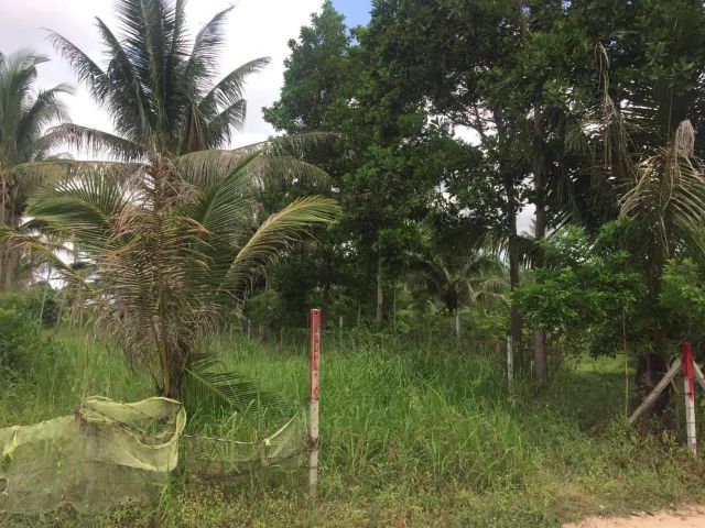 L838 ขายที่ดิน 2 ไร่ ศรีราชา ชลบุรี