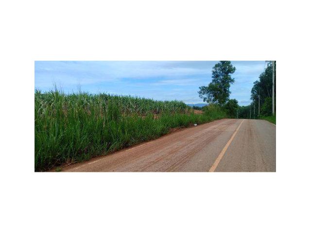 ขายที่ดิน 60 ไร่ ติดถนนสองด้าน ใกล้โรงเรียน ใกล้นิคมอุตสาหกรรมโรจนะหนองใหญ่ อ.หนองใหญ่ จ.ชลบุรี