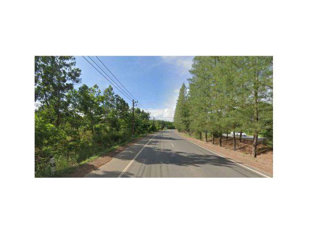 ขายที่ดิน 52 ไร่ ติดถนน 3493 ต.เขาวัว อ.ท่าใหม่ จ.จันทบุรี