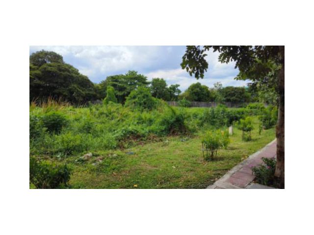 ราคาพิเศษสุด เจ้าของขายเอง ที่ดินทำเลดีมาก ติดถนนใหญ่บางบอน ขนาด 4 ไร่ 68 ตร.วา