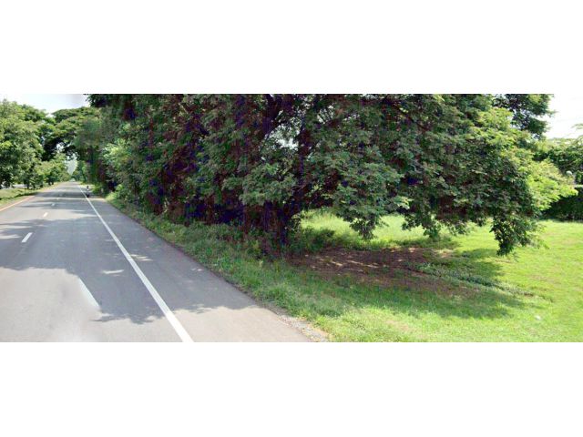 ขายที่ดิน 29 ไร่ ติดถนนสายสระบุรี-หล่มสัก ใกล้เทคโนฯ ต.พุขาม อ.วิเชียรบุรี จ.เพชรบูรณ์