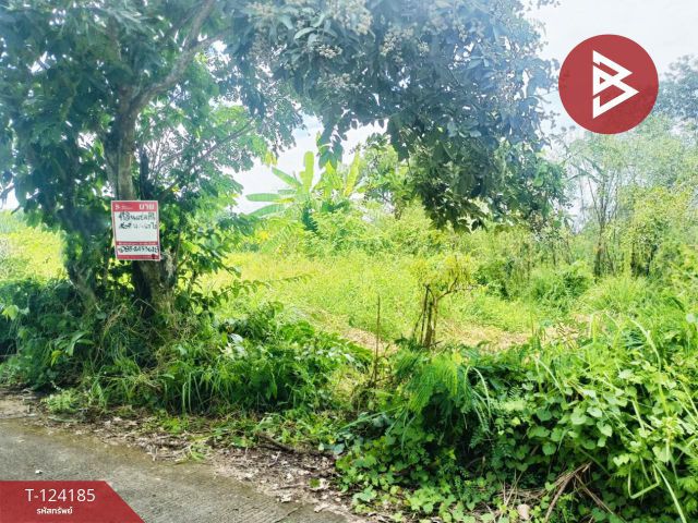 ขายที่ดิน เนื้อที่ 4 ไร่ 68.5 ตร.วา หนองจอก กรุงเทพมหานคร