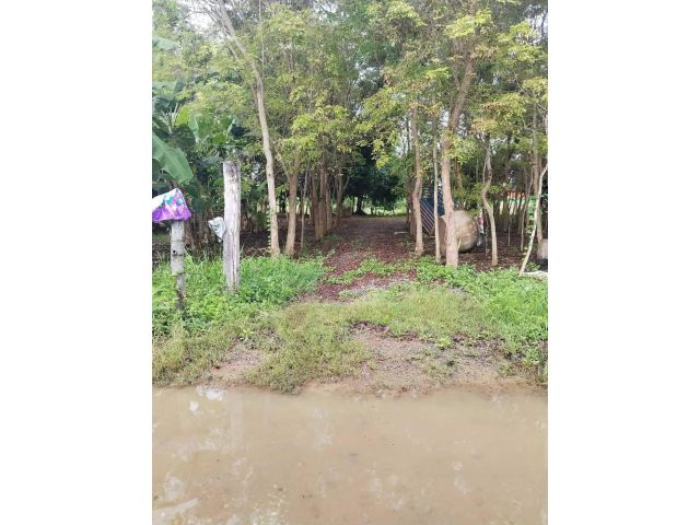 L841 ขายที่ดินสวยทำเลดี 2 ไร่ อรัญประเทศ สระแก้ว