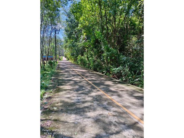 ขายที่ดินบนเกาะ สวยมากๆ โฉนด วิวสวยมากๆ พังงา