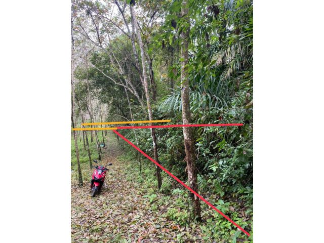 Beautiful island for sale 6 Rais with Chanote Offered land for sale an island near tourist attractions, Phang Nga