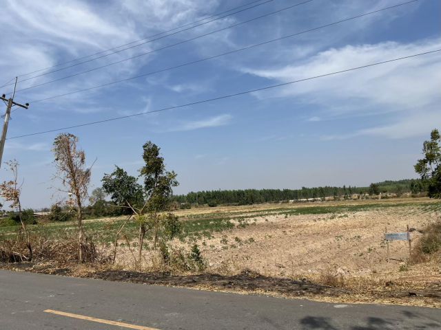 ขายที่ดินเขาหินซ้อน 25 ไร่ ติดฟาร์มเป็ดติดถนนลาดยาง ใกล้ถนนเส้น304-3กม. อ.พนมสารคาม ฉะเชิงเทรา