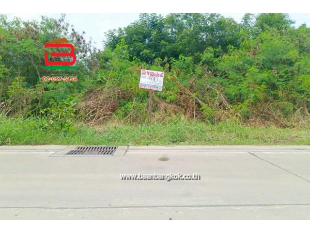 ที่ดิน แปลงสวย ซอยเอราวัณ 21 เนื้อที่ 2 ไร่ ถนนเอราวัณ 1 อ.คลองหลวง จ.ปทุมธานี