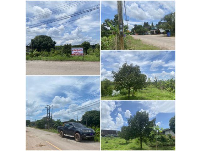 ที่ดินโฉนด 200 ตร.วา ติดถนนใกล้โรงเรียน100เมตร️