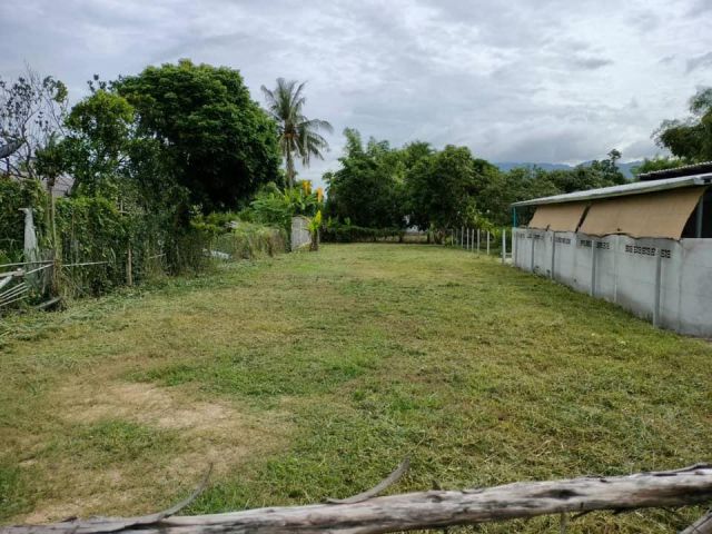 ที่ดินใกล้เขาเขียว136ตรว. ขายขาด/ขายผ่อน/เช่าระยะยาว 1.15ล้านบาท