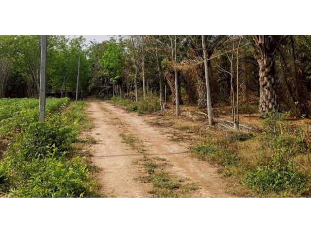 ที่ดินโฉนดเหมาะสร้างโรงงาน โกดัง หมู่บ้าน