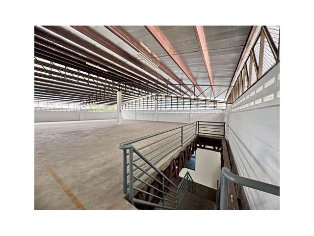 ให้เช่าโกดังพร้อมออฟฟิศขนาดใหญ่ 1400 ตรม. (ซอยอ่อนนุช 66) ถนนกว้างมาก สภาพดีเยี่ยม 100% (N.1633)