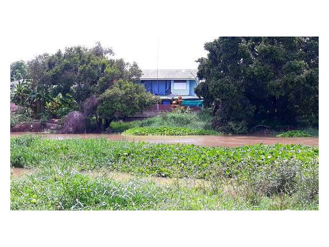 ขาย ที่ดินว่างเปล่า (ถมแล้ว) ตำบลไผ่จำศีล อำเภอวิเศษไชยชาญ จังหวัดอ่างทอง