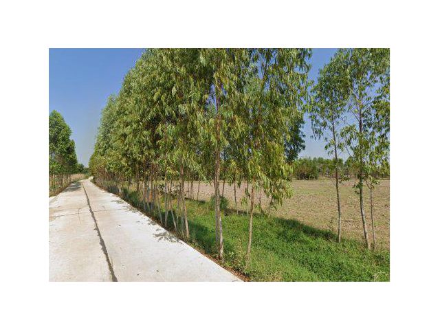 ขายที่ดิน 42 ไร่ ต.เกาะจันทร์ อ.เกาะจันทร์ จ.ชลบุรี