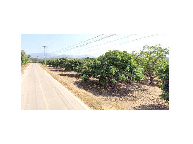 ขายที่ดิน 44 ไร่ บ้านแม่ปั๋ง ต.แม่ปั๋ง อ.พร้าว เชียงใหม่