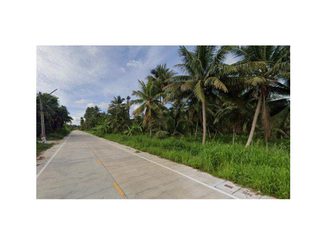 ขายที่ดิน 10 ไร่ ใกล้ถนน331 ใกล้นิคมอุตสาหกรรมเหมราช ต.เขาคันทรง อ.ศรีราชา จ.ชลบุรี