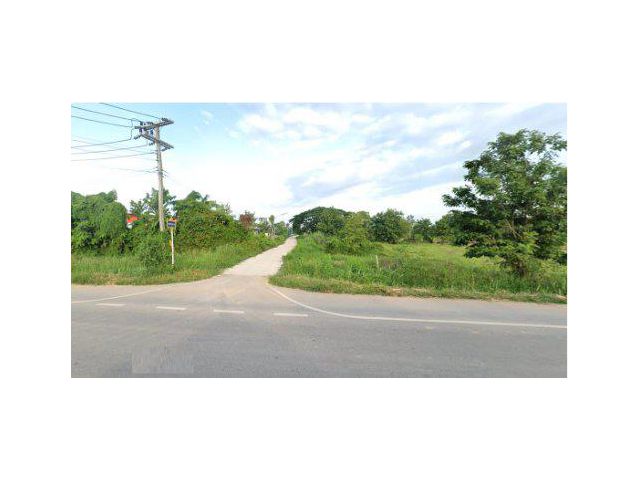 ขายที่ดิน 16 ไร่ ต.หัวรอ อ.เมืองพิษณุโลก จ.พิษณุโลก