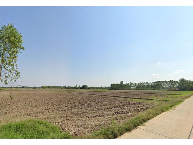 ขายที่ดิน 42 ไร่ ต.เกาะจันทร์ อ.เกาะจันทร์ จ.ชลบุรี