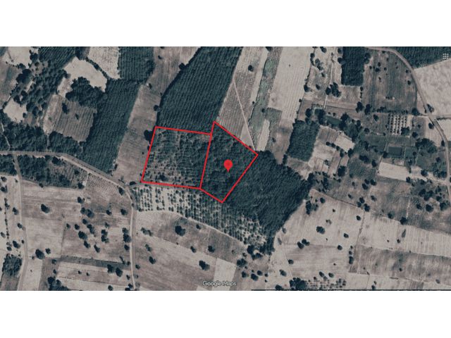 ขายที่ดิน