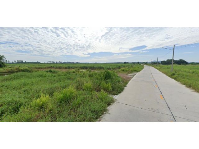 ขายที่ดิน 87 ไร่ ใกล้ถนน344 ต.หนองชาก อ.บ้านบึง จ.ชลบุรี