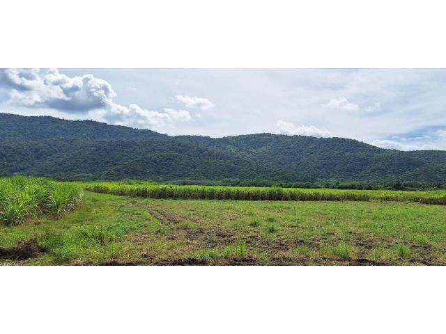 ขายที่ดิน 20 ไร่ ติดถนน3138 ต.คลองกิ่ว อ.บ้านบึง จ.ชลบุรี