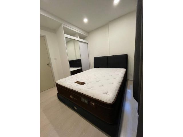 The Tree 64 safe nice