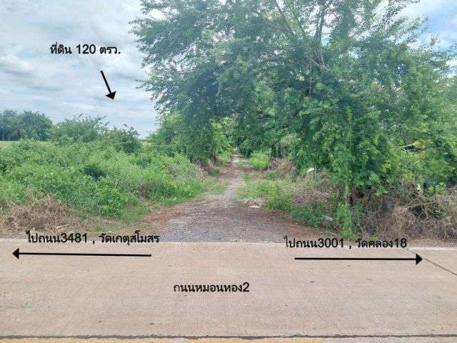 ขายที่ดินแปลงเล็ก 120 ตรว. ต.หมอนทอง อ.บางน้ำเปรี้ยว เหมาะสร้างบ้านสวน ใกล้กรุงเทพฯ