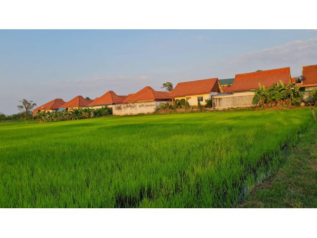 ขายที่ดิน 9 ไร่ ติดถนนเลียบทางรถไฟ ใกล้ท่าเรือแหลมฉบัง ต.บางละมุง อ.บางละมุง จ.ชลบุรี