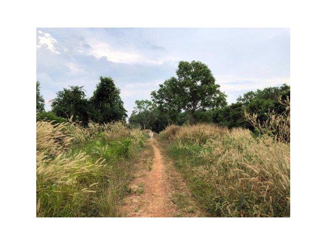 ขายที่ดิน 1,000 ไร่ ติดแม่น้ำเวฬุ ใกล้ถนนใหญ่ ต.แสนตุ้ง อ.เขาสมิง จ.ตราด