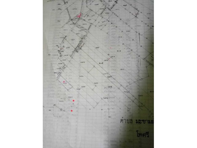 ขายด่วนที่บ่อดินเก่า 27 ไร่ ต.มะขามล้ม อ.บางปลาม้า จ.สุพรรณบุรี ขายเหมายกแปลง 1,700,000.- เท่านั้น